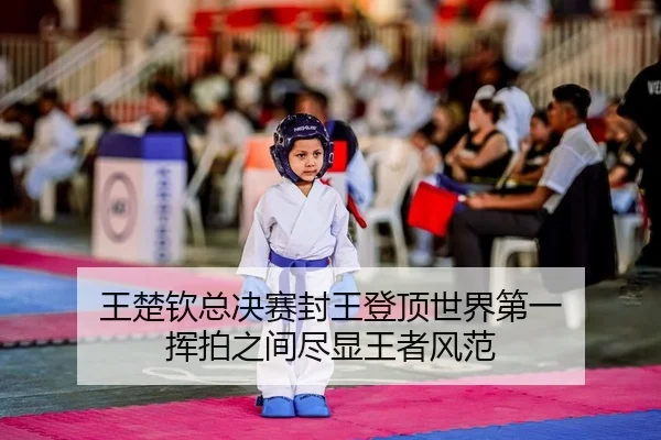 wang-chu-qin-zong-jue-sai-feng-wang-deng-ding-shi-jie-di-yi-hui-pai-zhi-jian-jin-xian-wang-zhe-feng-fan-2-727.jpg